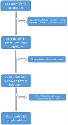 The Connection Between Selected Caspases Levels in Bronchoalveolar Lavage Fluid and Severity After Brain Injury
